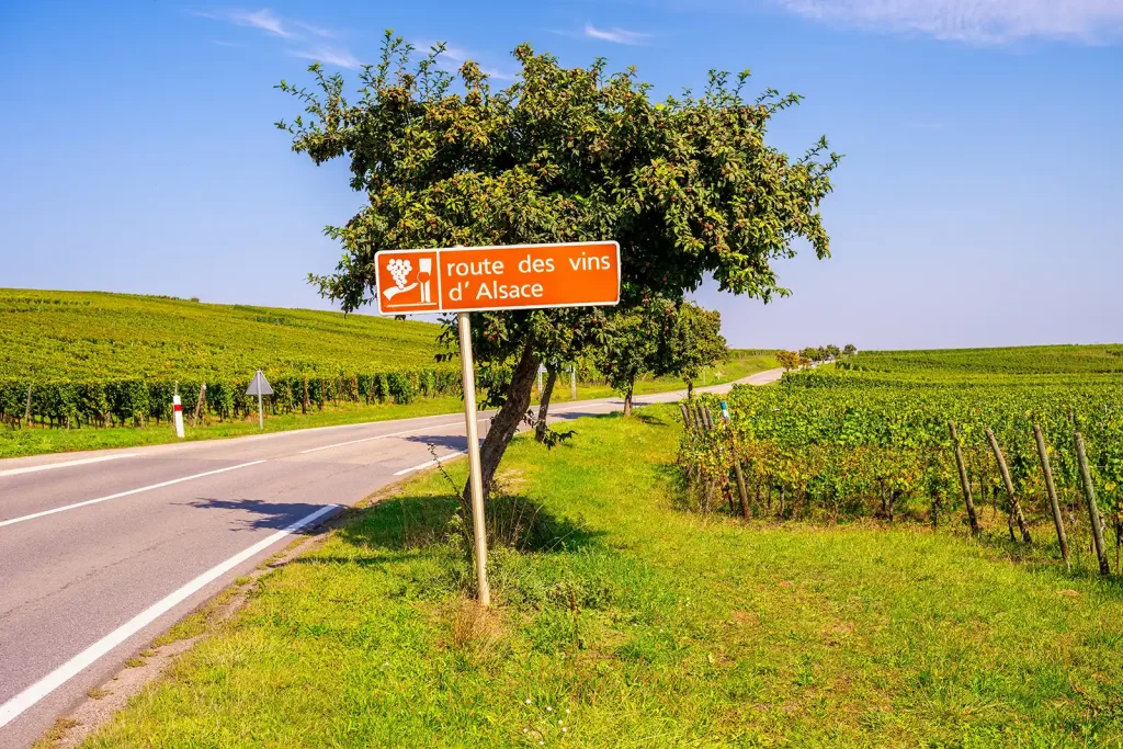 Réserver un taxi pour découvrir la route des vins d&rsquo;Alsace